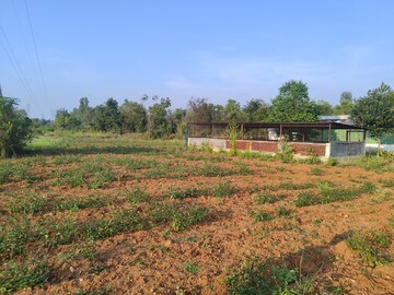 Plot Area in  Land at Dhanaguru – for Rent