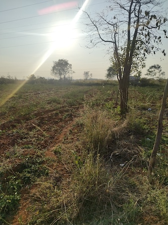 Commercial Land 65340 Sq.Ft. For Rent in Dhanaguru Mandya  8128559