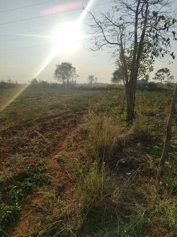 Plot Area in  Land at Dhanaguru – for Rent