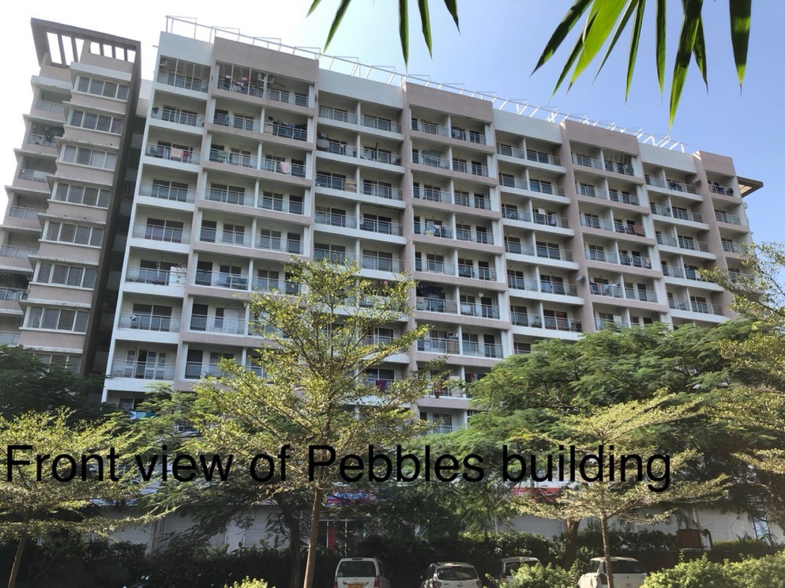 1 BHK Apartment For Sale in Paranjape Forest Trails Pebbles