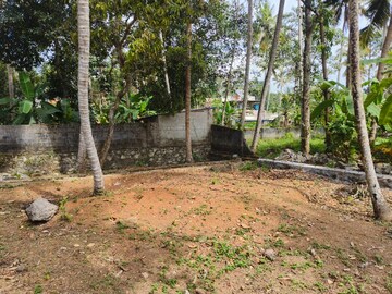 Plot Area in  Plot at Peroorkada – for Sale