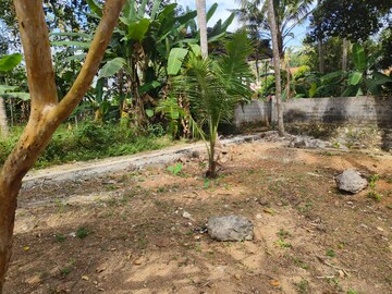 Plot Area in  Plot at Peroorkada – for Sale