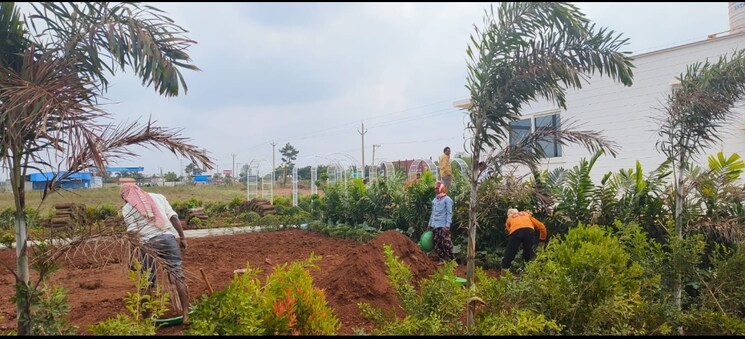 Garden, myron-royal-crest  283 Sq.Yd. Plot In Digwal Hyderabad 8128622