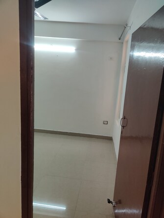 3 BHK Apartment For Rent in ROF Amaltas Sector 92 Gurgaon  8128677