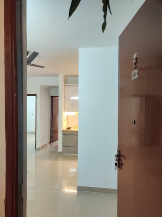 3 BHK Apartment For Rent in ROF Amaltas Sector 92 Gurgaon  8128677