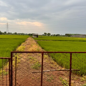  Plot – Exterior View View at Sejbahar - for Sale