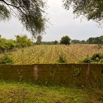  Plot For Sale in Sejbahar