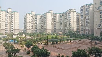 3 BHK Apartment For Rent in Supertech Emerald Court Sector 93a Noida  8128962