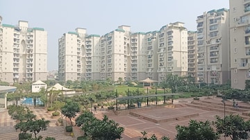 3 BHK Apartment For Rent in Supertech Emerald Court Sector 93a Noida  8128962