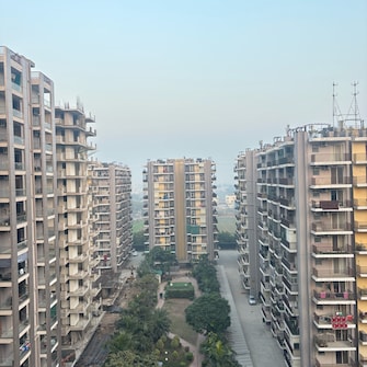 3 BHK Apartment For Rent in Trishla City High Ground Zirakpur  8129154