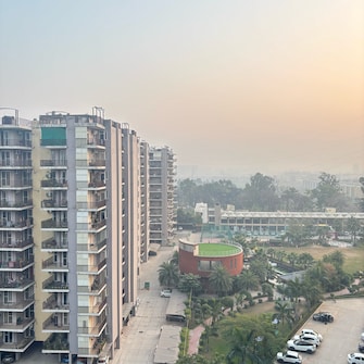 3 BHK Apartment For Rent in Trishla City High Ground Zirakpur  8129154