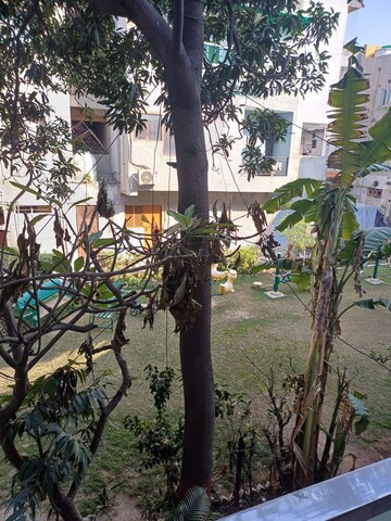1 BHK Apartment – Exterior View View at Paschim Vihar - for Rent