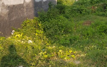 Plot For Sale in Murthal