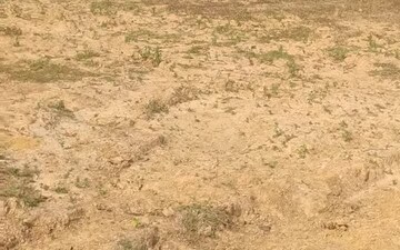 Industrial Plot For Rent in Vishwakarma Industrial Area