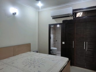 2 BHK Builder Floor For Rent in Ansal Sushant Lok I Sector 43 Gurgaon  8129603