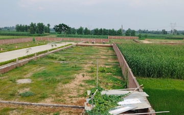 Plot For Sale in Sector 82