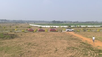 Plot For Resale in Cheepurupalli Vizianagaram  8129964