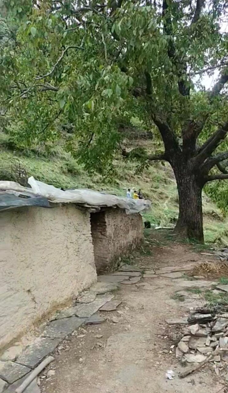 Exterior View, dhakrani  300 Sq.Yd. Plot In Dhakrani Dehradun 8130236