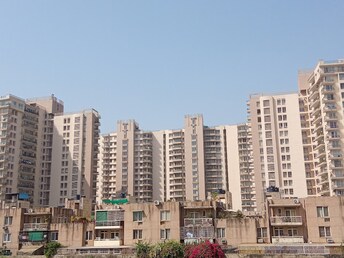 3 BHK Apartment For Rent in Unitech Woodstock Floors Sector 50 Gurgaon  8116765