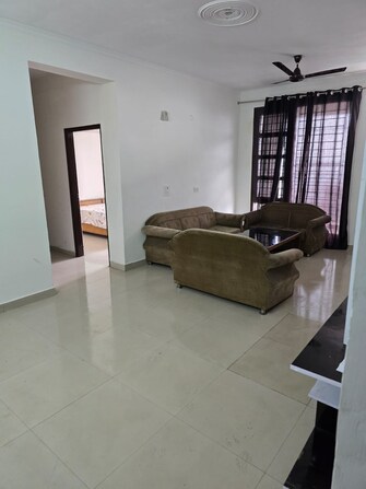 2 BHK Builder Floor For Rent in Sector 124 Mohali  8130272