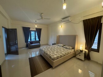 3 BHK Apartment For Rent in Shanti Nagar Bangalore  8130319