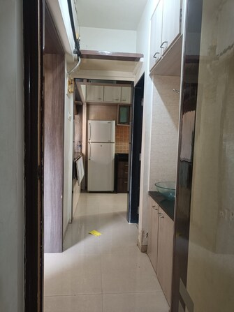 2 BHK Apartment For Rent in Hiranandani Estate Jasper Ghodbunder Road Thane  8130565