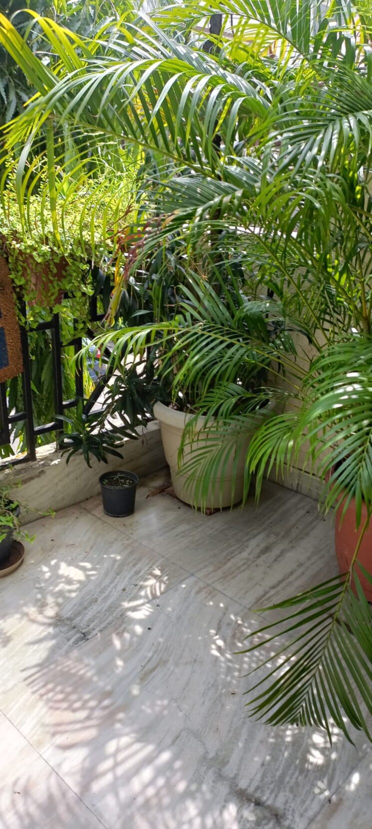  Parking, sector 33 4 Bedroom 162 Sq.Mt. Independent House In Sector 33 Noida 8130624