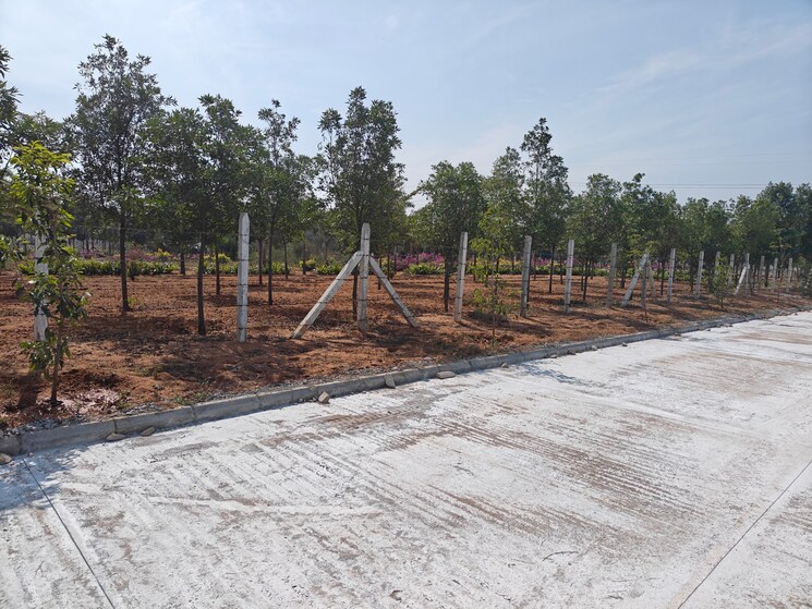 undefined, fortune-butterfly-city  266 Sq.Yd. Plot In Kadthal Hyderabad 8130890