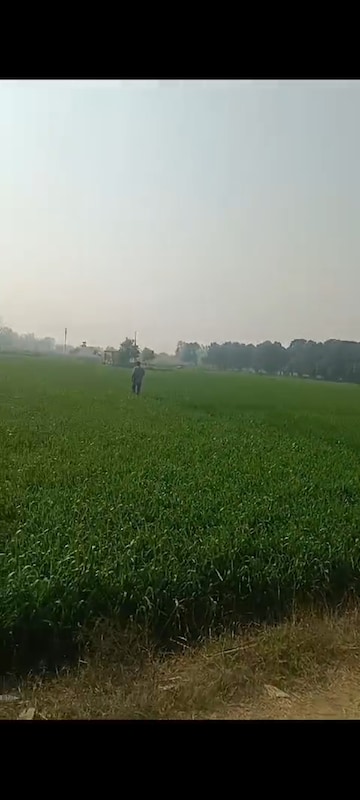 Plot Area in  Plot at Sikandrabad – for Sale