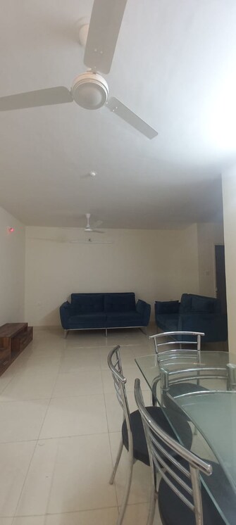 2 BHK Apartment For Rent in Karia Konark Campus Viman Nagar Pune  8131023