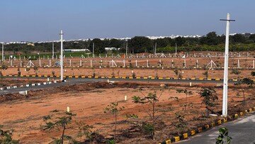 Plot Area in  Plot at Sector 146 – for Sale