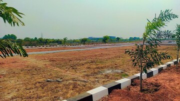 Plot Area in  Plot at Mendhasala – for Sale