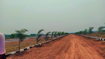 Plot For Resale in Kantbada Bhubaneswar  8131596