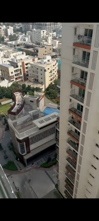 3 BHK Apartment For Rent in Salarpuria Sattva Magnus Jubilee Hills Hyderabad  8131619