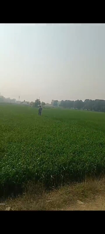  Plot For Sale in Sikandrabad