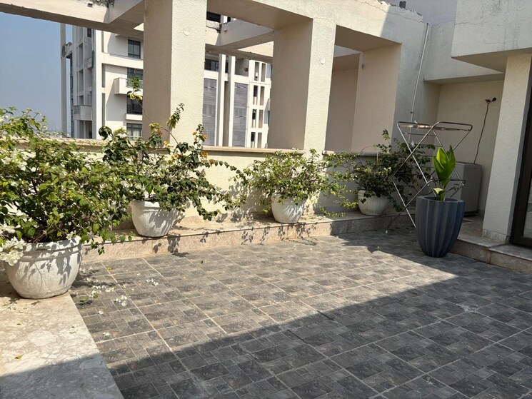 Exterior View, ss-the-hibiscus 5 Bedroom 12000 Sq.Ft. Penthouse In Sector 52 Gurgaon 8131807