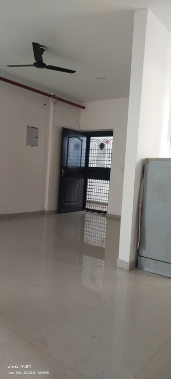 3 BHK Apartment For Rent in JNC The Park Sector 16c Greater Noida Greater Noida  8131901