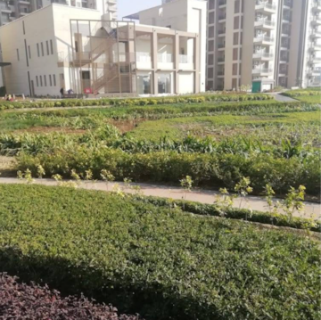 Plot Area in 4 BHK Apartment at Adani Oyster Grande Phase 2, Sector 102a – for Rent