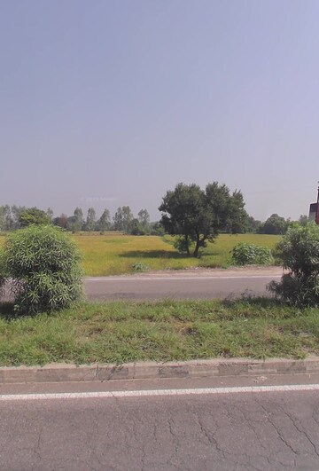  Plot For Sale in Sikandrabad