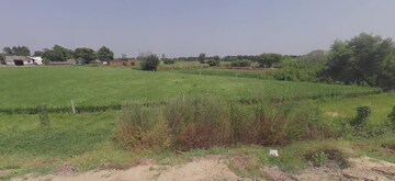  Plot For Sale in Sikandrabad