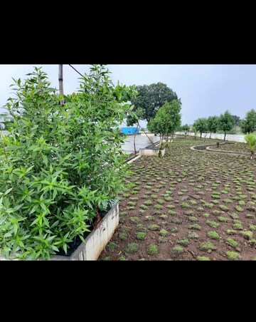  Plot – Garden View at Vidhan Sabha Marg - for Sale
