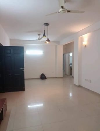 2 BHK Apartment For Rent in Sector M-1a Gurgaon  8132098