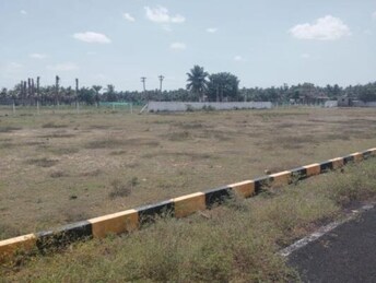 Commercial Land 120 Sq.Yd. For Rent in Chintadripet Chennai  8113637