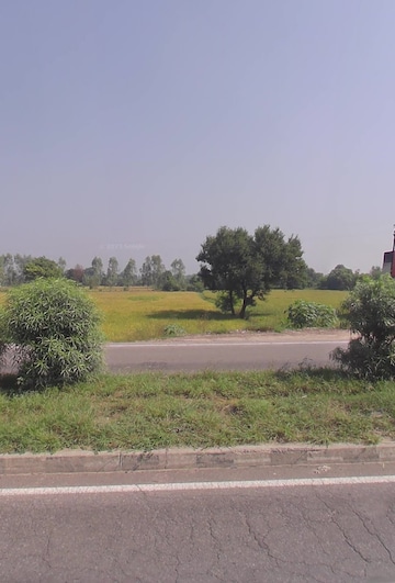  Plot For Sale in Sikandrabad
