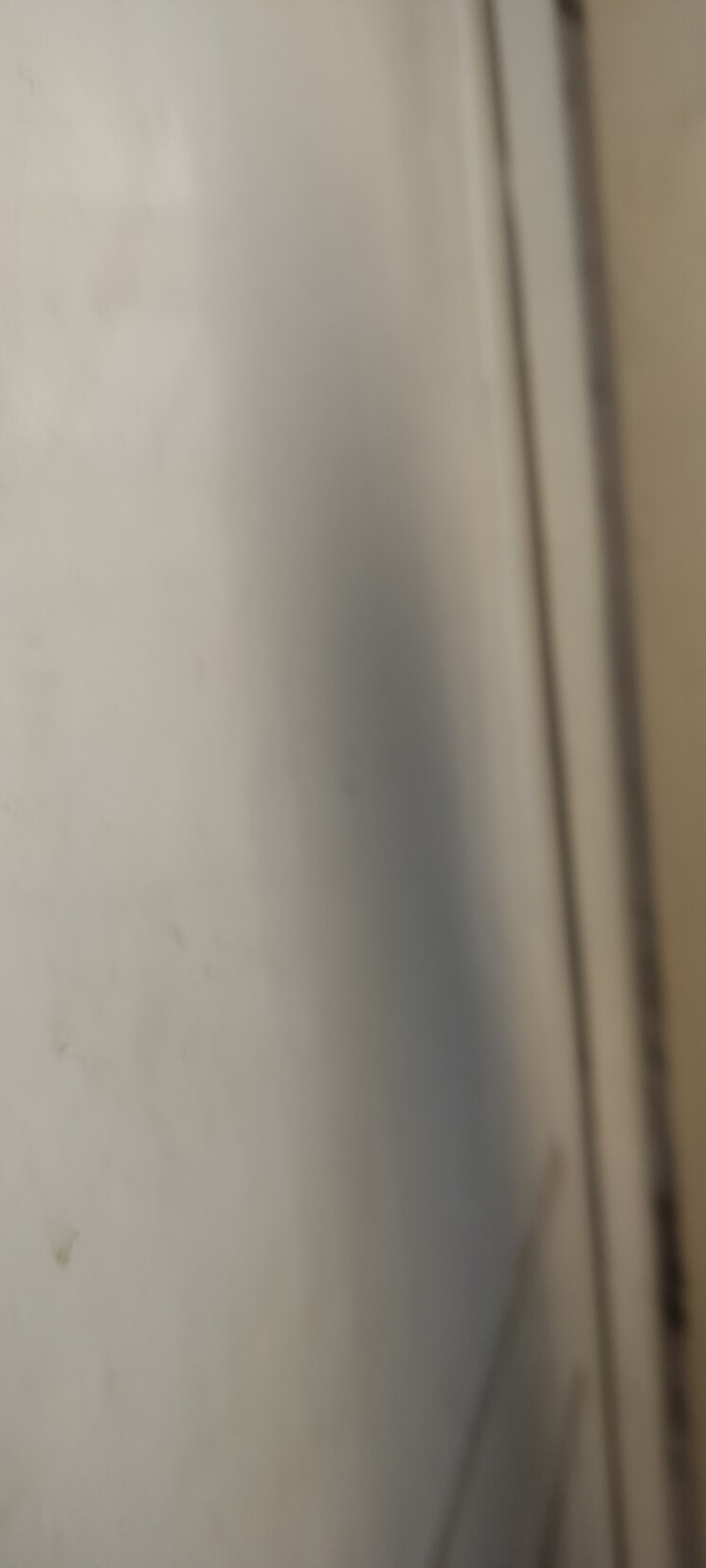 undefined, rwa-apartments-sector-41 3 Bedroom 180 Sq.Mt. Independent House In Sector 41 Noida 8132599