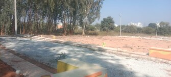 Plot For Resale in Srinivasa Nagar Bangalore  8132737