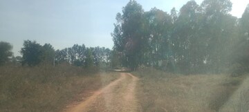 Plot Area in  Plot at Srinivasa Nagar – for Sale