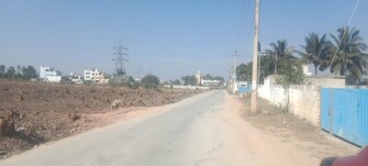 Plot For Resale in Srinivasa Nagar Bangalore  8132737