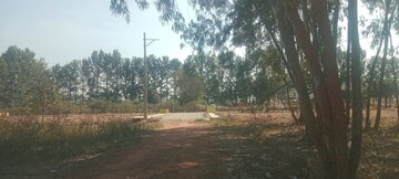 Plot Area in  Plot at Srinivasa Nagar – for Sale