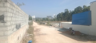 Plot For Resale in Srinivasa Nagar Bangalore  8132737